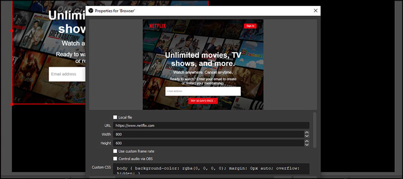 Showing Netflix Homepage